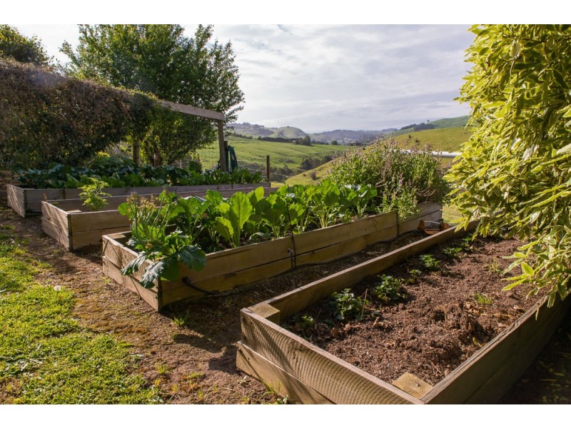 185 Amiets Rd, Wild Dog Valley VIC 3953