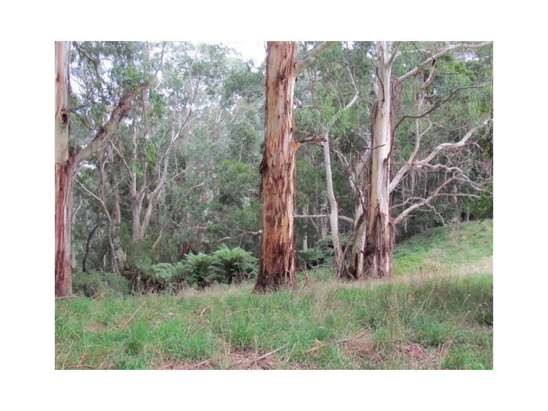 385 Duggan North Road, Fumina VIC 3825