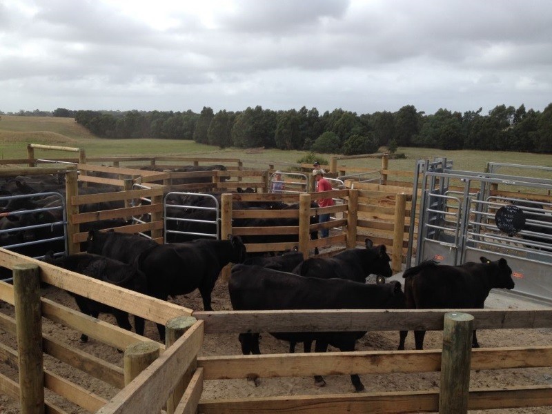 80 Agnes River Rd, Welshpool VIC 3966