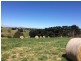21 Irwin Road, Neerim East VIC 3831