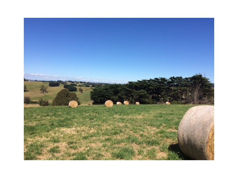 21 Irwin Road, Neerim East VIC 3831
