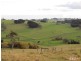 21 Irwin Road, Neerim East VIC 3831