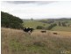 21 Irwin Road, Neerim East VIC 3831