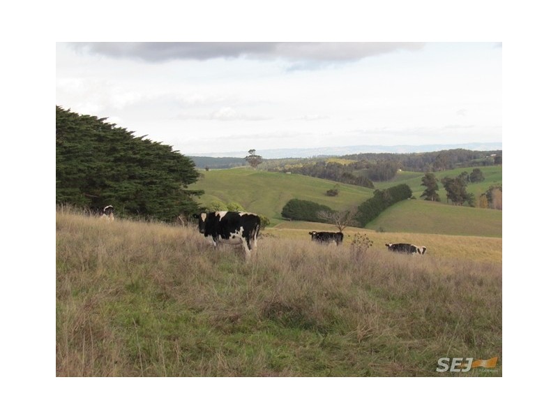 21 Irwin Road, Neerim East VIC 3831