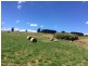 21 Irwin Road, Neerim East VIC 3831