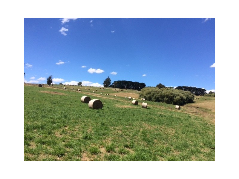 21 Irwin Road, Neerim East VIC 3831