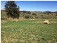 21 Irwin Road, Neerim East VIC 3831