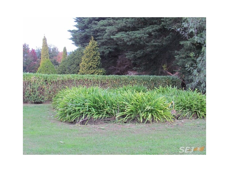 21 Irwin Road, Neerim East VIC 3831