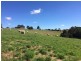 21 Irwin Road, Neerim East VIC 3831