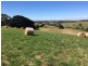 21 Irwin Road, Neerim East VIC 3831