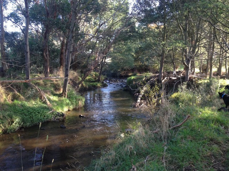 80 Agnes River Rd, Toora VIC 3962