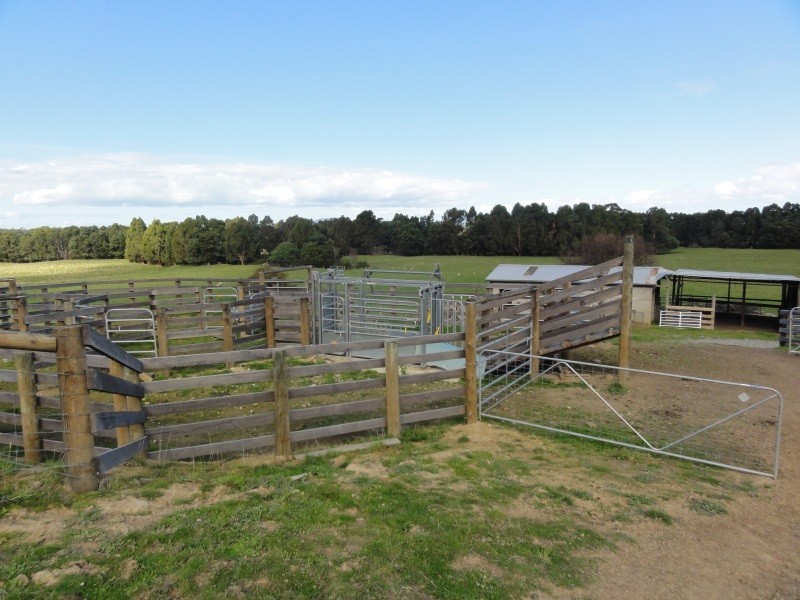 80 Agnes River Rd, Toora VIC 3962