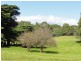 80 Agnes River Rd, Toora VIC 3962