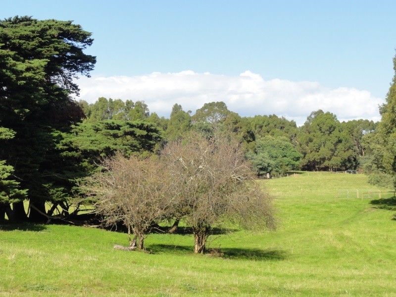 80 Agnes River Rd, Toora VIC 3962