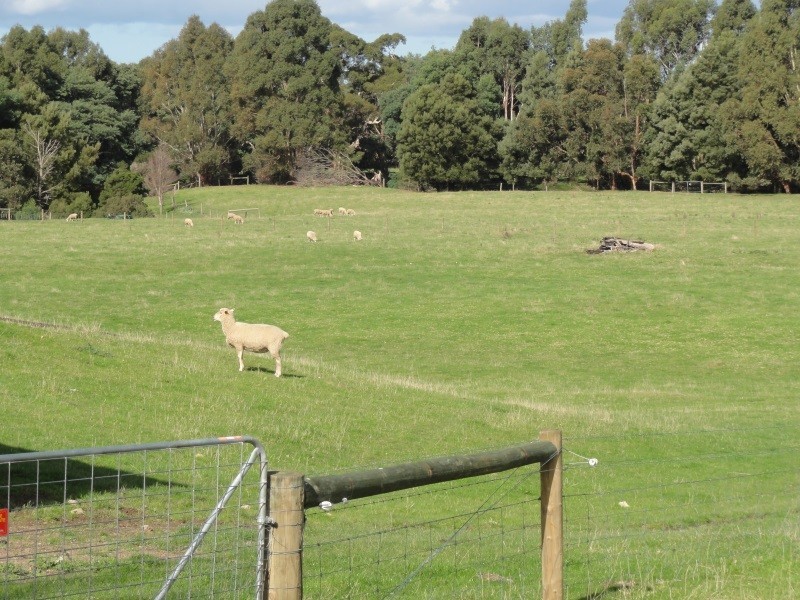 80 Agnes River Rd, Toora VIC 3962