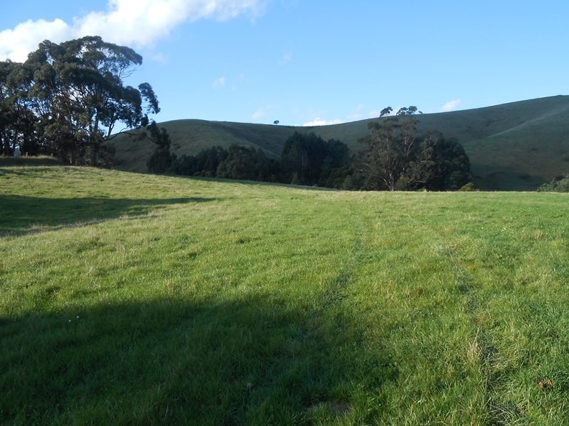 490 Woomera Creek Road, Toora VIC 3962