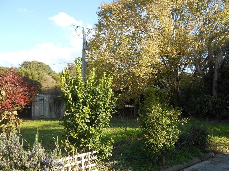 490 Woomera Creek Road, Toora VIC 3962