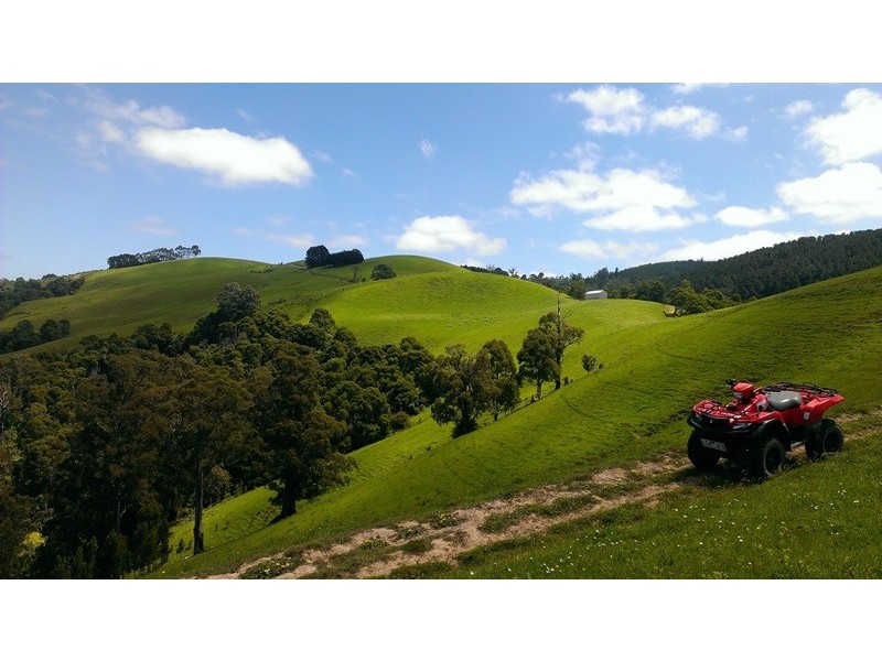 44 BEANHAMS ROAD, Foster VIC 3960