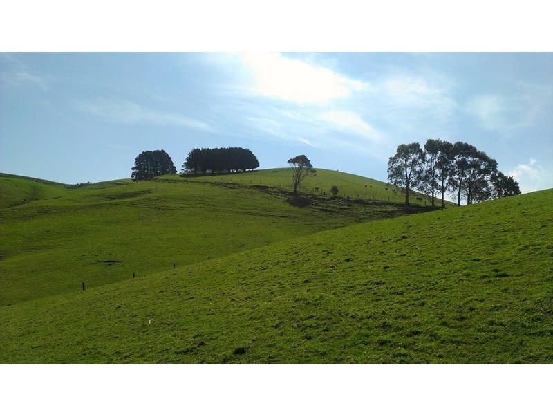 44 BEANHAMS ROAD, Foster VIC 3960