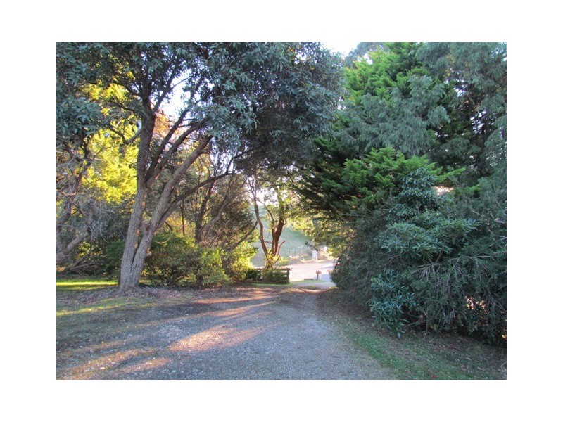247 Lawrences Road, Trafalgar South VIC 3824
