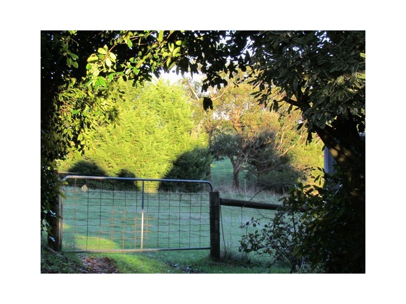 247 Lawrences Road, Trafalgar South VIC 3824