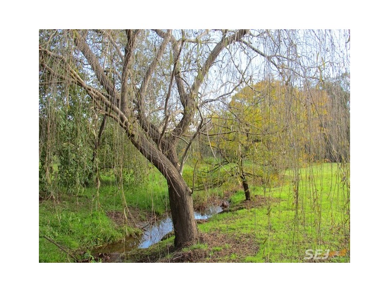 3 Web Court, Warragul VIC 3820