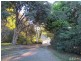 247 Lawrences RD, Trafalgar South VIC 3824