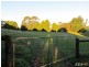 247 Lawrences RD, Trafalgar South VIC 3824