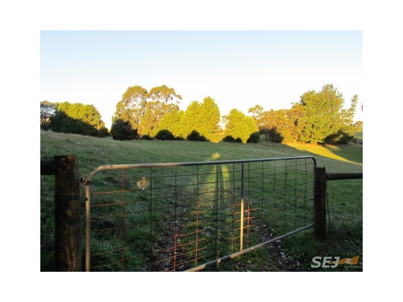 247 Lawrences RD, Trafalgar South VIC 3824
