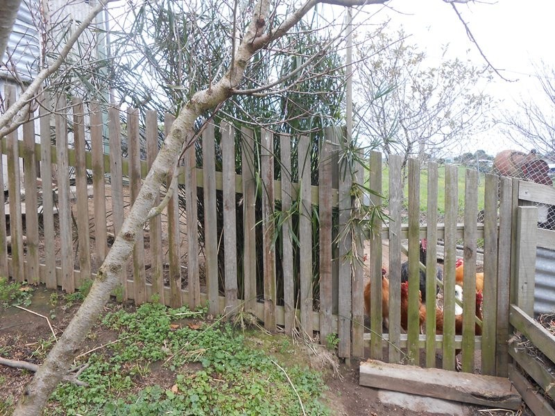 22 Old Waratah Road, Fish Creek VIC 3959