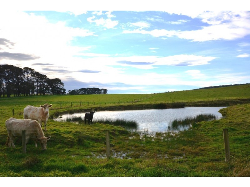 Mirboo North VIC 3871
