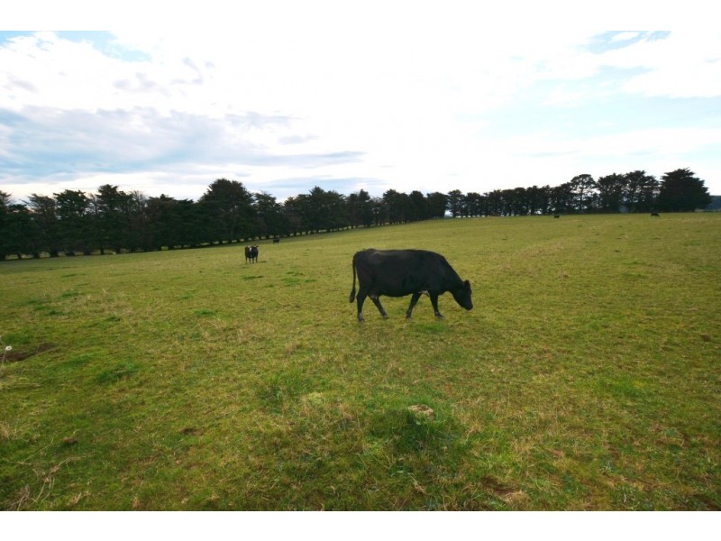 Mirboo North VIC 3871