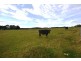 Mirboo North VIC 3871