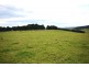 Mirboo North VIC 3871