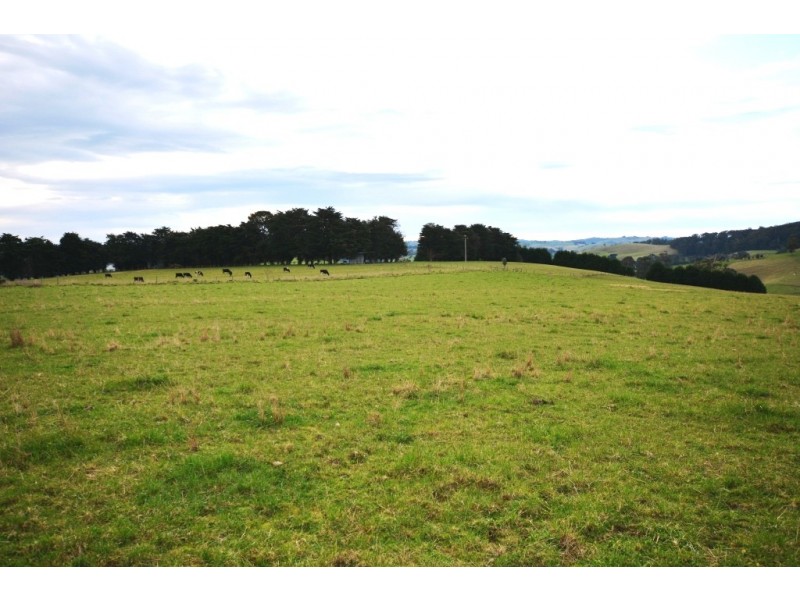 Mirboo North VIC 3871