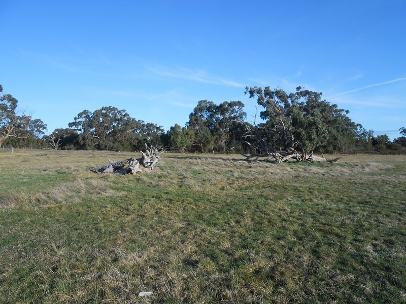 47 LASSETERS ROAD, Port Welshpool VIC 3965