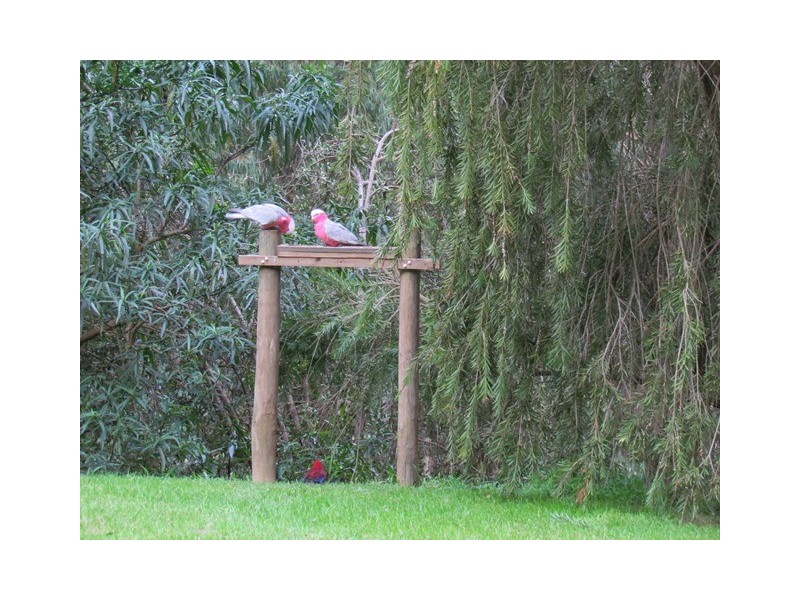 1044 Coalville Road, Narracan VIC 3824