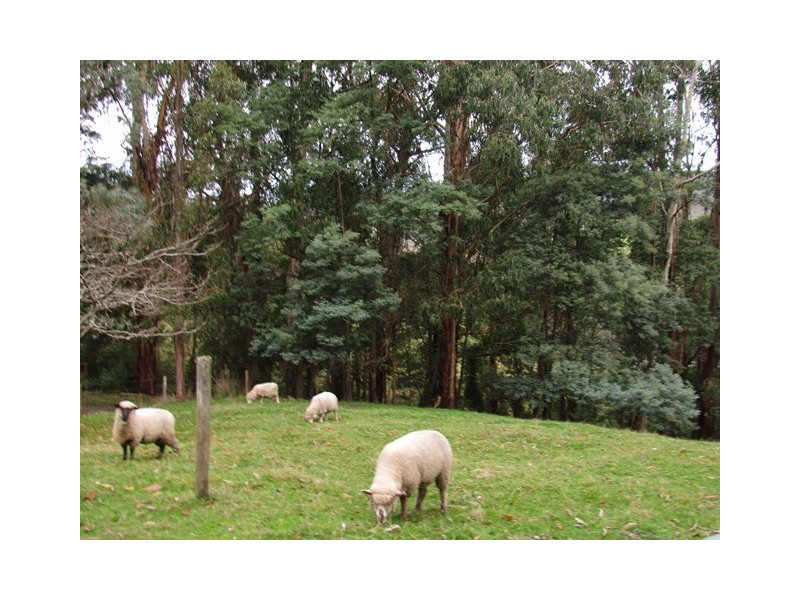 1044 Coalville Road, Narracan VIC 3824