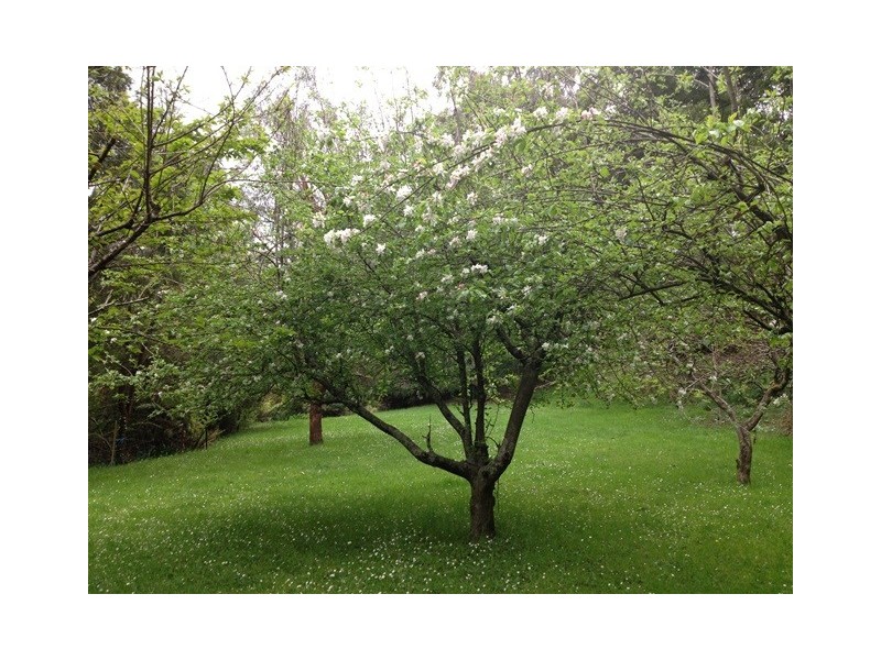 1044 Coalville Road, Narracan VIC 3824