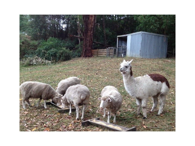 1044 Coalville Road, Narracan VIC 3824