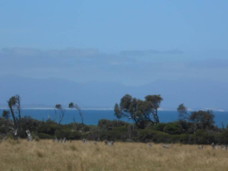 45 Waratah Avenue, Waratah Bay VIC 3959