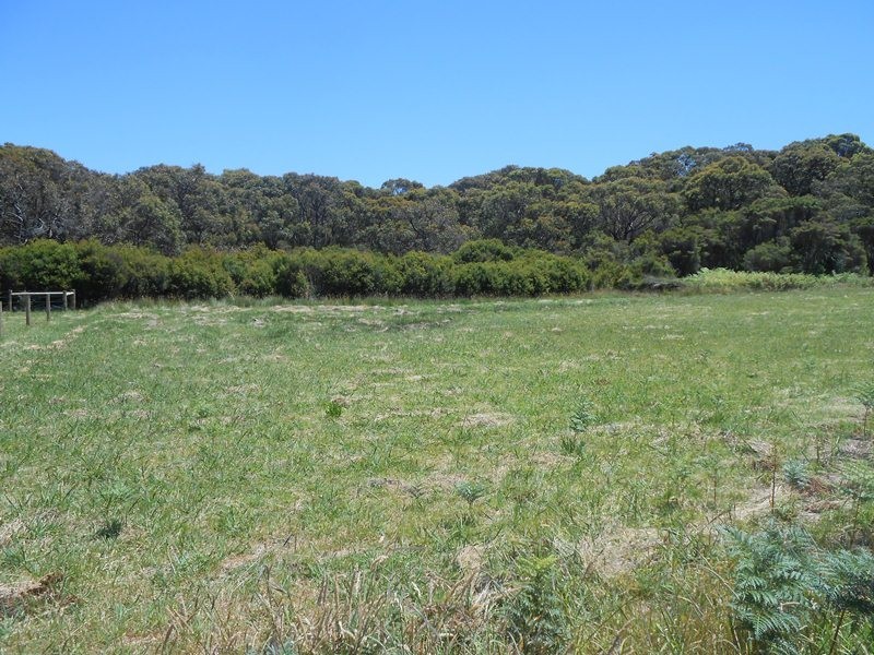 45 Waratah Avenue, Waratah Bay VIC 3959