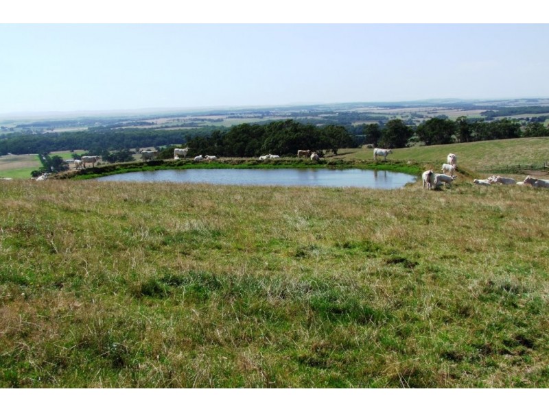 25 Algers Rd, Outtrim VIC 3951