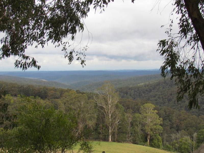 3225 Willow Grove Road, Fumina South VIC 3825