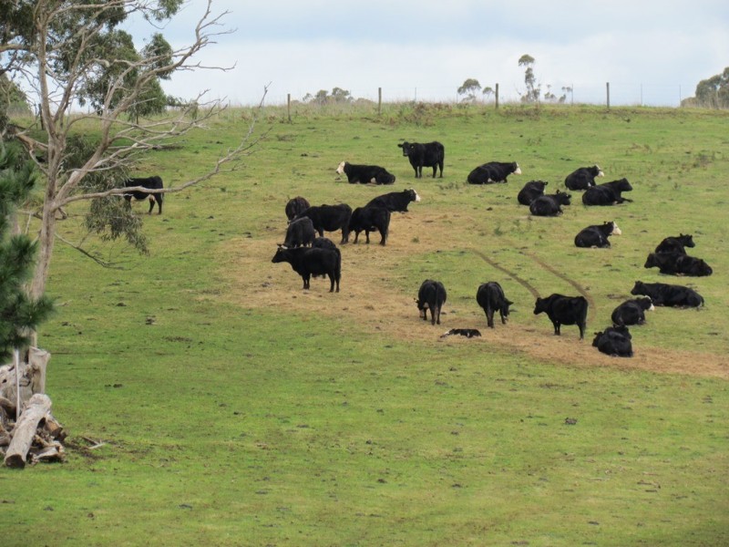 3225 Willow Grove Road, Fumina South VIC 3825