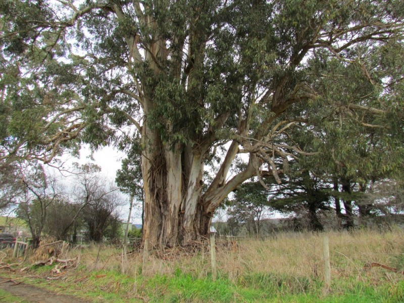 3225 Willow Grove Road, Fumina South VIC 3825