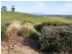 615 Ameys Track, Foster VIC 3960