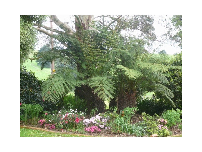 815 Allambee – Childers Road, Thorpdale VIC 3835