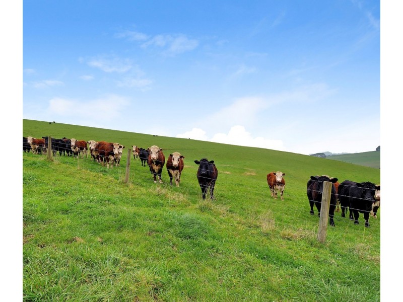 815 Allambee – Childers Road, Thorpdale VIC 3835