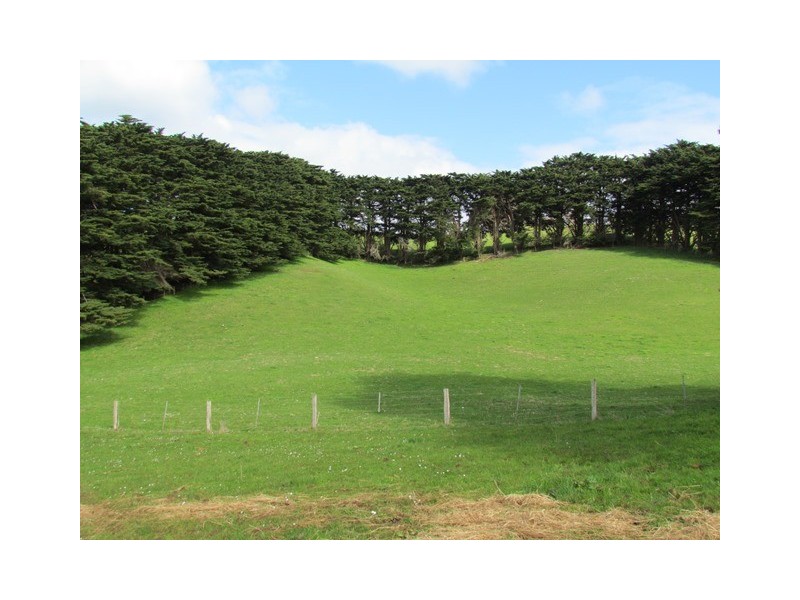 815 Allambee – Childers Road, Thorpdale VIC 3835